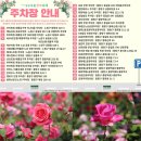 투루컴퍼니 이미지