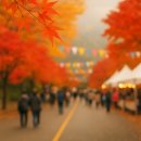 가을, 축제의 계절! 가볼 만한 지역 축제 추천! 기운이 바뀔 땐 사주스타