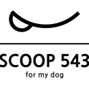 스쿱543