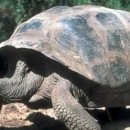 거북발전소 이미지