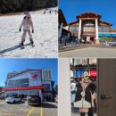 비고리조트 9 | 용평리조트 스키강습 가격 어린이 스키강습 후기