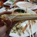쌍둥이네횟집 - 고성군 토성로 44-12 | 쌍둥이네횟집