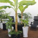 첨단한방병원 이미지