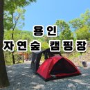 멍스타펜션 | 서울근교캠핑장 추천, 숲속 힐링 가능한 경기도용인캠핑장 자연숲캠핑장 후기