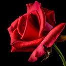 한국의 멋, 전통생활 매듭공예 | 전주 한옥마을 전통문화 축제 탐방기 – 한국의 멋을 체험하다