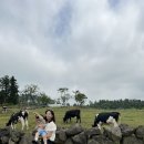 지율목장 이미지