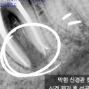 연세재신치과의원 이미지