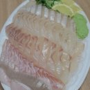 광어야