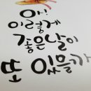 빛이물들다 이미지