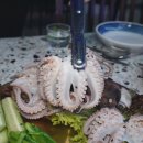 해드리오 이미지