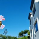 남해-239 이미지