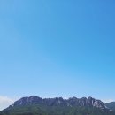 (주)태광투어 | 굳이 해외골프를 나갈필요가 없는~~속초 델피노cc 아웃코스 → 인코스 라운딩 다녀왔어요.