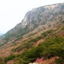 4월 정기산행 대구 비슬산(1084m) 진달래 산행 ~~ 이미지