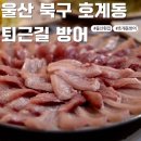 울산 북구 방어회 맛집 퇴근길 호계 대방어 횟집
