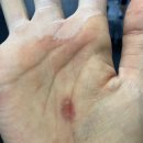 Crossfit P4P 이미지