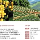 원두팔이소녀