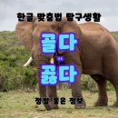 골다 이미지