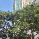 서강직업전문학교신도림캠퍼스 | 서강직업전문학교 신도림캠퍼스, 사회복지현장실습·경비신임교육·경비지도사 국비과정 모집