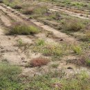 대도공인중개사사무소 이미지