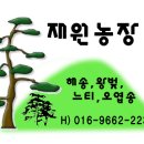 최병희농장 Daum카페