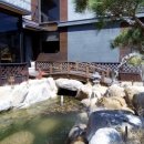 돌담당구장 이미지