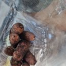 청과원 - 화성시 쌍봉로 298 | 청과원byHUROM 당근 3kg 무척 싱싱하다