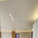 스테이 도채비꽃 이미지