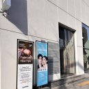 서산빌딩 | 강남역 미용실 추천 준오헤어 강남역2호점 단발 히피펌 손유진 디자이너
