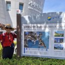 지세포항공원 이미지