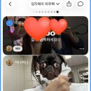우라빠닭강정서 | 잘먹고 잘살자