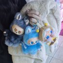 뽑기뽑기샵 이미지