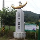 성암초 연곡분교 이미지