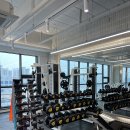 피트니스365 이미지