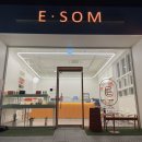 이솜(E SOM)