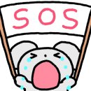 시화리라유치원 이미지
