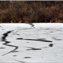 호수풍경 이미지