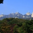 남산 이미지