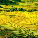 공공용 52 네이버블로그