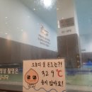 그로업 키즈 이미지