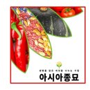 무안농협 판매유통사업소