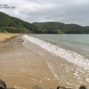 발포해수욕장 티스토리