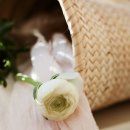 (주) 다미 이미지