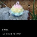 새아침해장국 네이버블로그