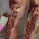 우성아파트후문 이미지