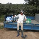 자연나라 이미지