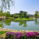 수원-0078 Daum카페