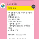 창원테니스 _ 야외테니스 덴소문화공원 우산동테니스장이용후기 + 테니스레슨