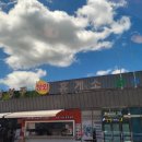 남성주참외(창원) 이미지