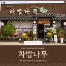 차밥나무 이미지