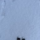 온아설기 이미지